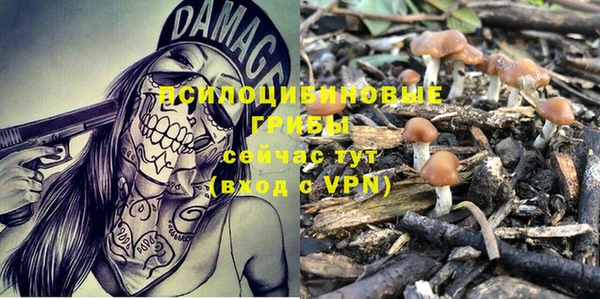 гидропоника Абинск